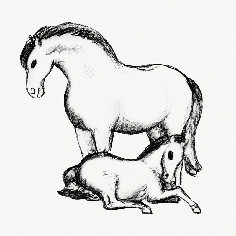 复古马匹和手绘插图由利奥·格斯特尔的艺术作品混合而成