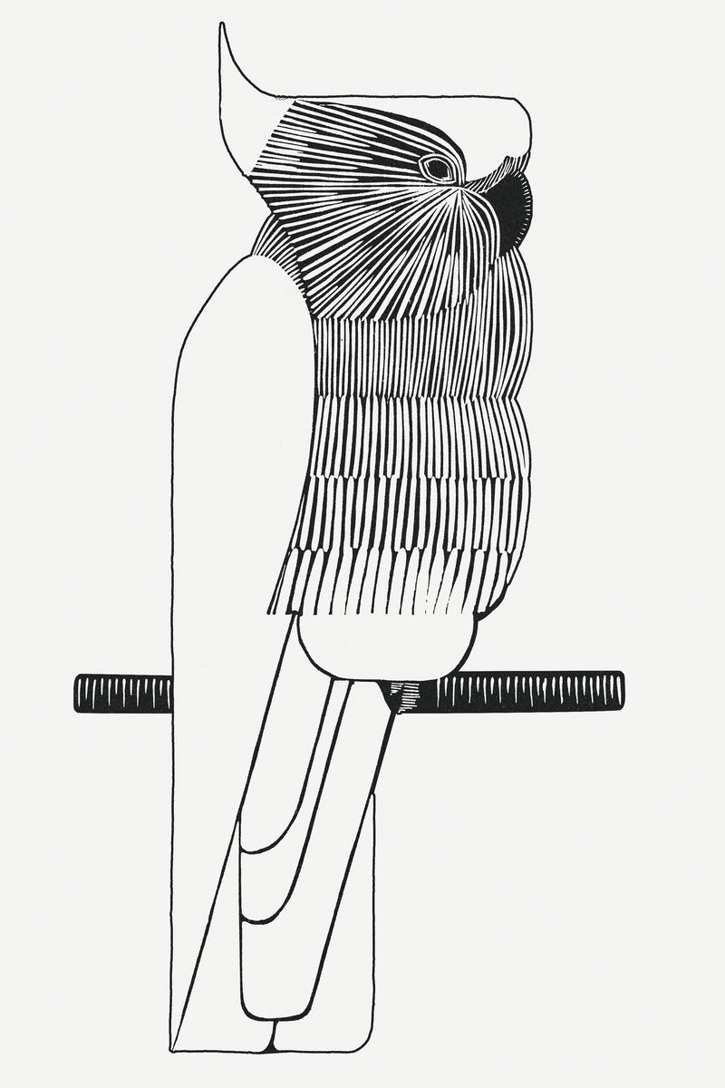 老式硫磺\u0026ndash；带冠凤头鹦鹉psd动物艺术印刷品由Samuel Jessuron de Mesquita的艺术作品混合而成