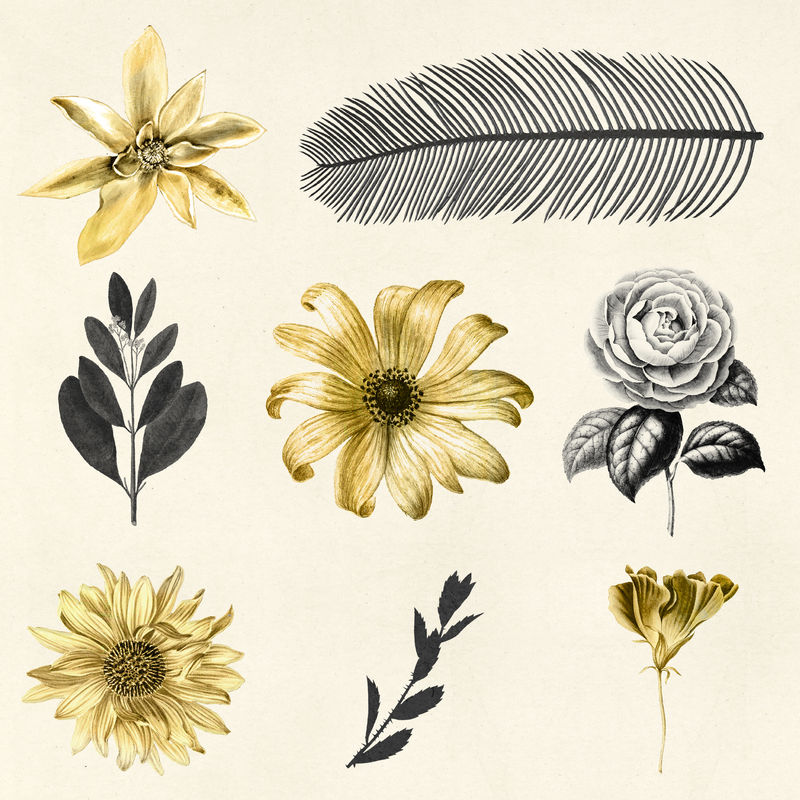 复古psd叶和花金色黑色植物贴纸系列