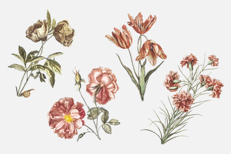 复古花卉矢量手绘插图集
