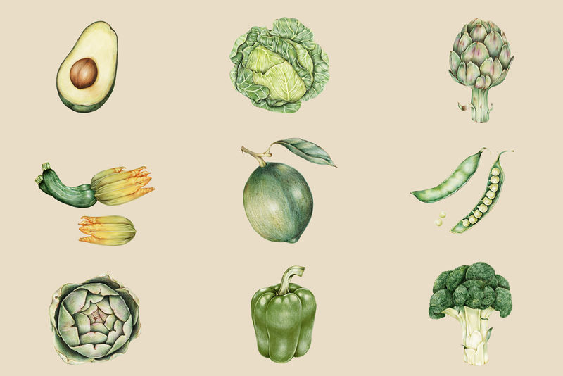 有机蔬菜复古psd手绘系列