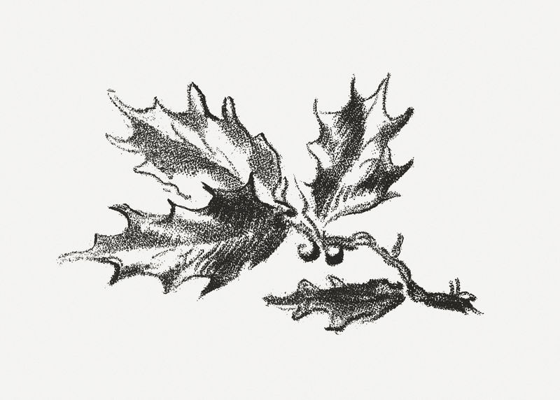 复古树部分植物插图psd从吉勒Demarteau的艺术作品混合