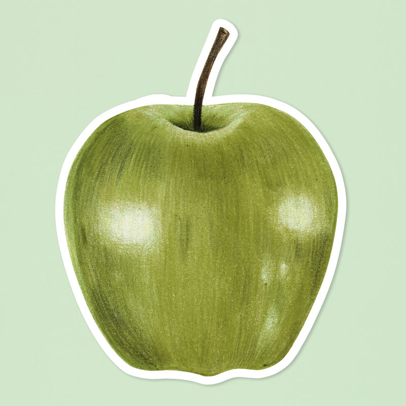 夏季水果苹果插图手绘