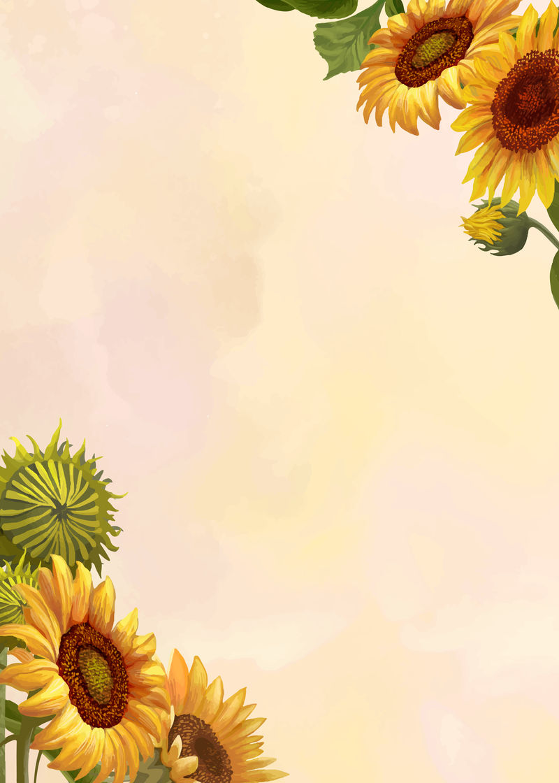 黄色背景矢量上的手绘向日葵