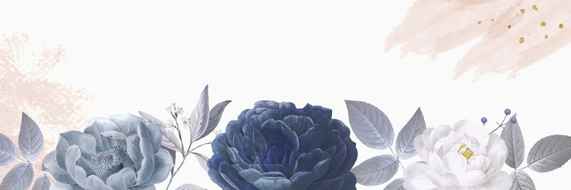 蓝玫瑰横幅模板向量