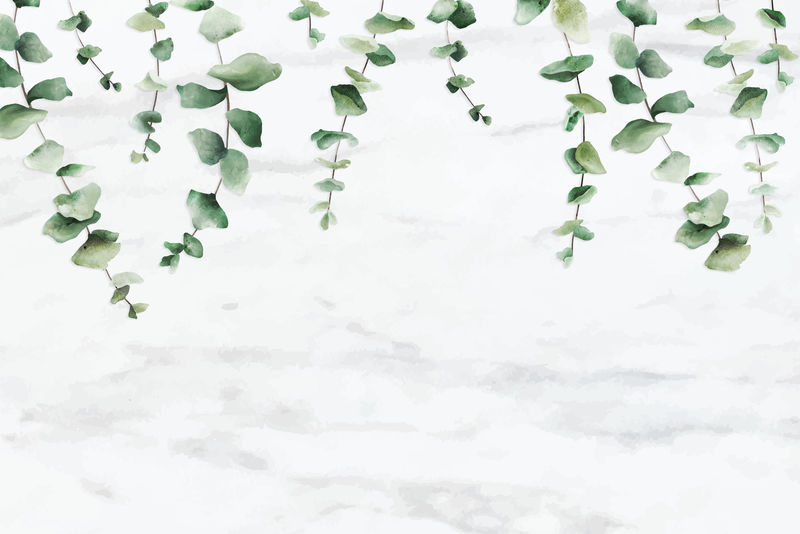 手绘桉树叶白色大理石背景向量