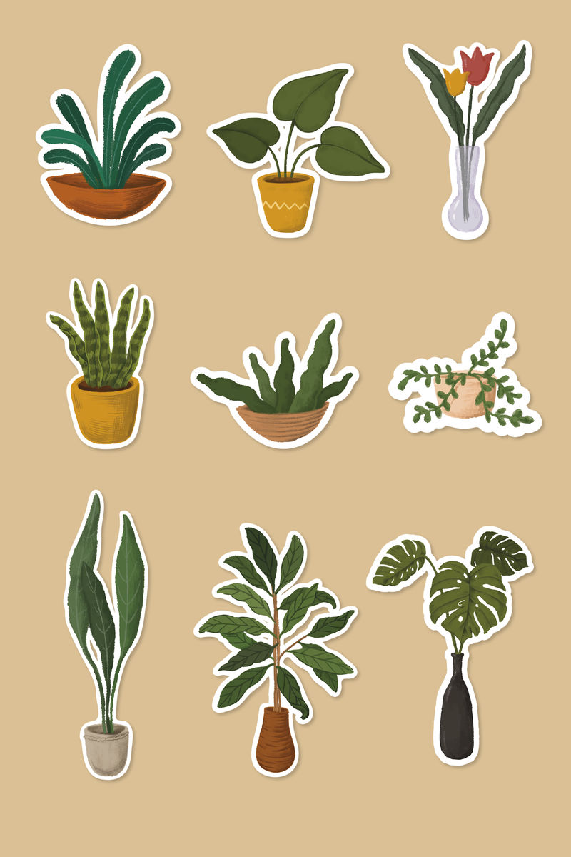 室内植物贴纸系列