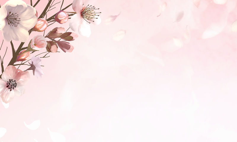 粉红色背景插图上的手绘樱花