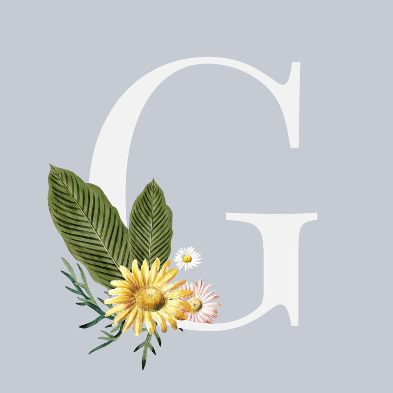 G花卉字母