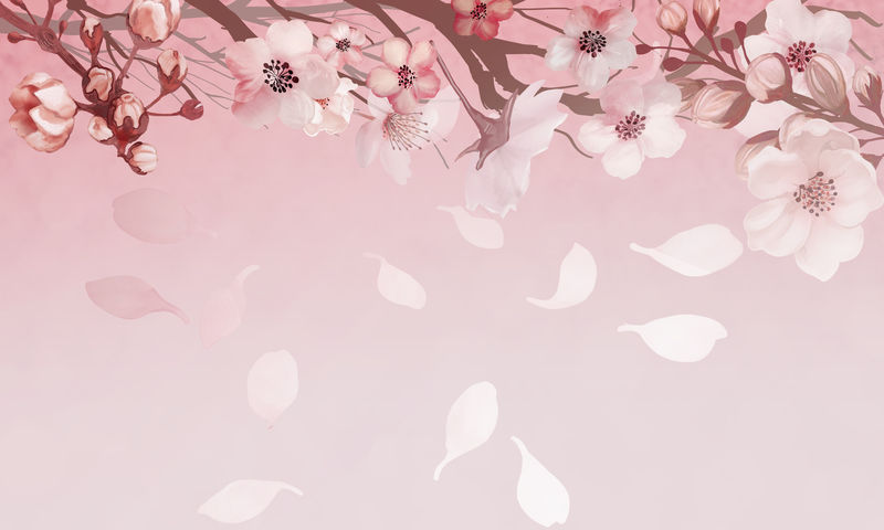 粉红色背景上的手绘樱花