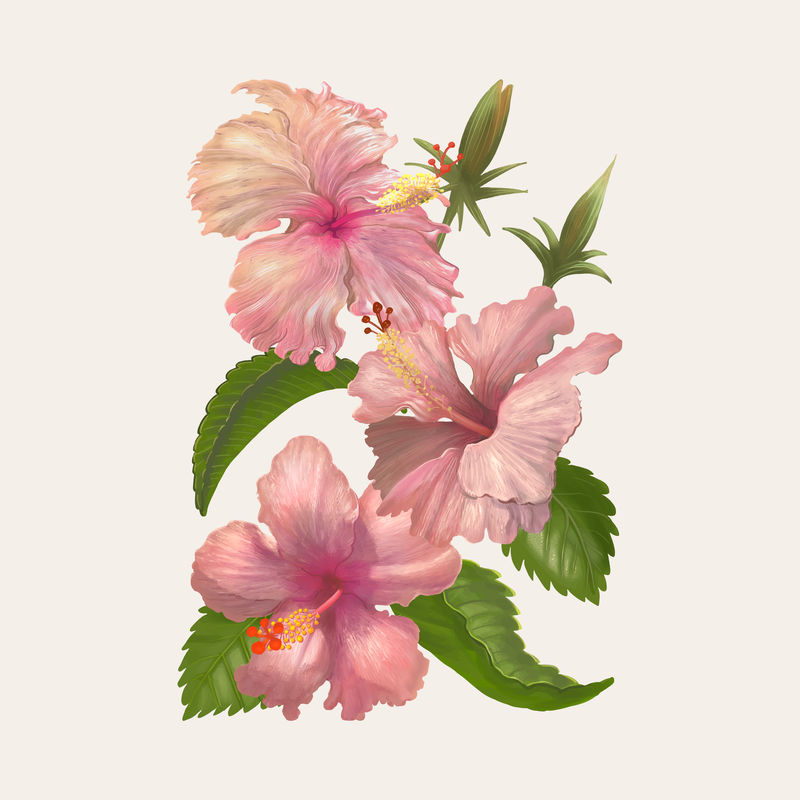 水彩花卉插画