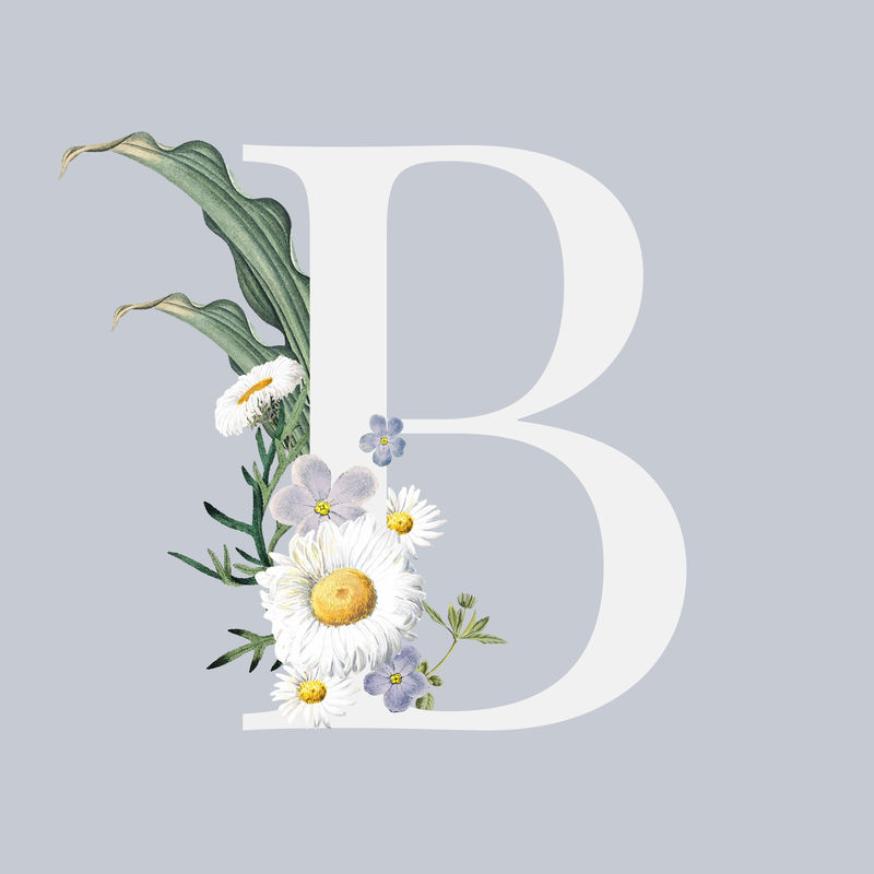 字母B复古花卉字体