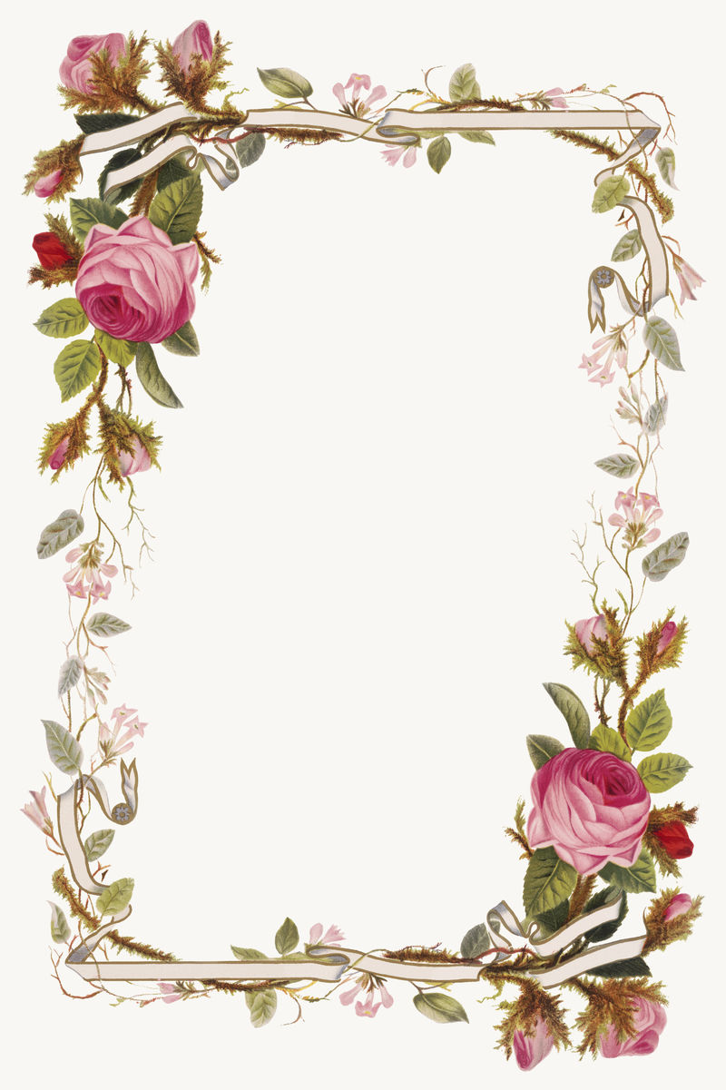 复古粉红玫瑰边框插画由L