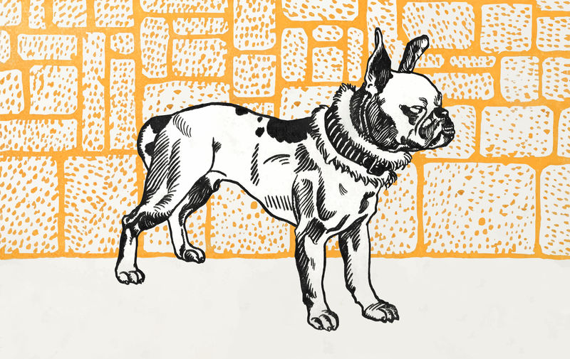 复古斗牛犬犬插图矢量从莫里兹容格的艺术作品混合