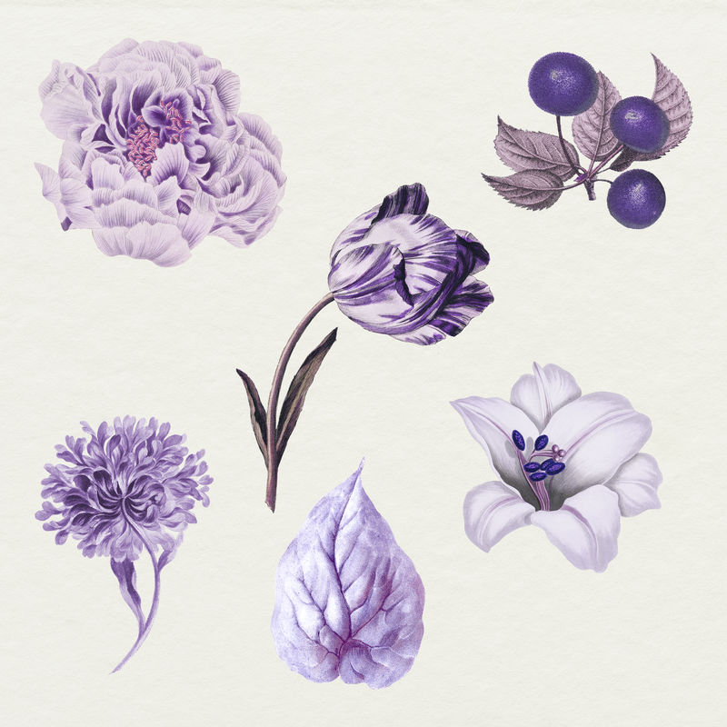 复古紫花果叶系列