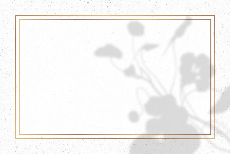 白色大理石背景矢量上带花卉阴影的矩形金框
