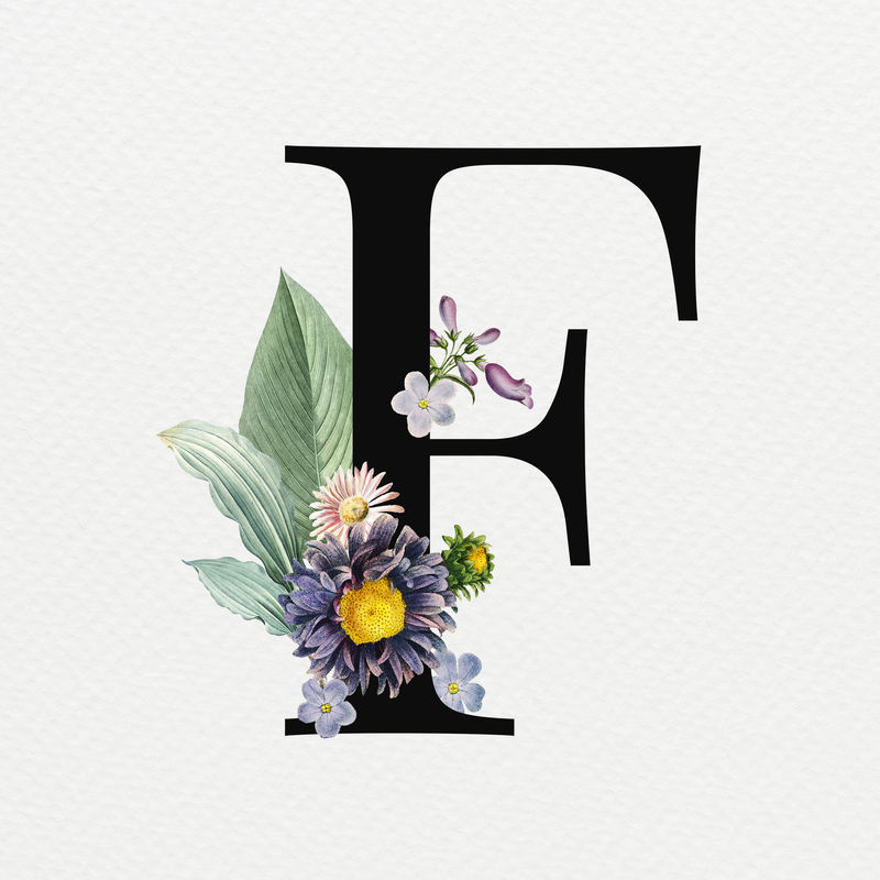 F花卉字母