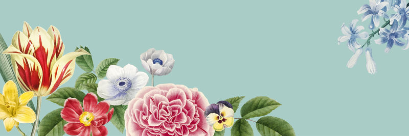五彩缤纷的春花装饰横幅设计元素