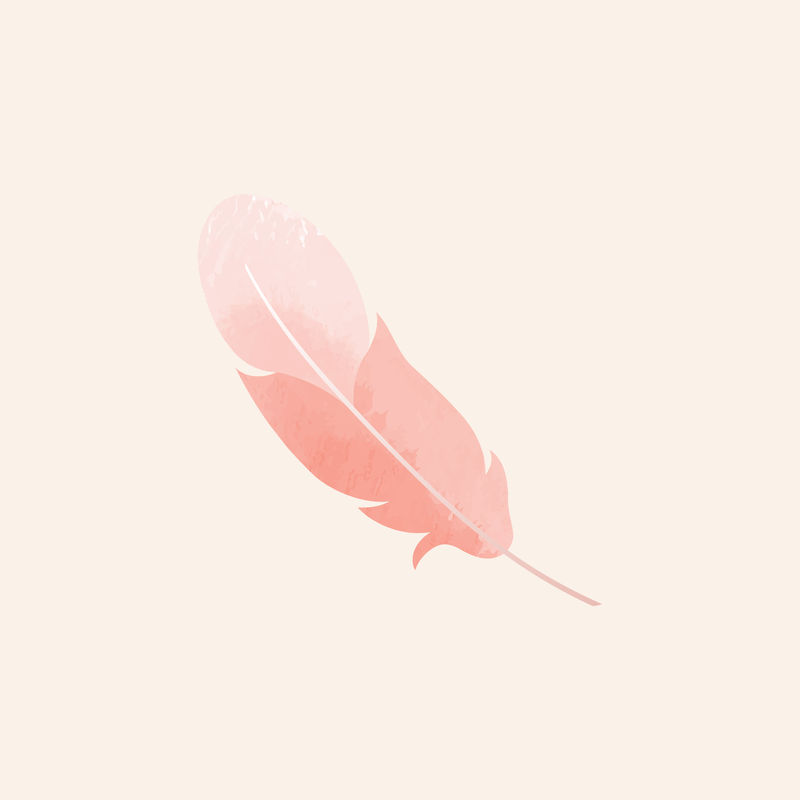 单瓣粉红色羽毛
