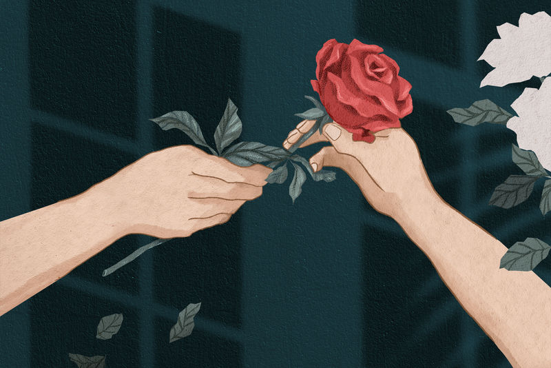 瓦伦丁；s夫妇交换玫瑰手绘插图