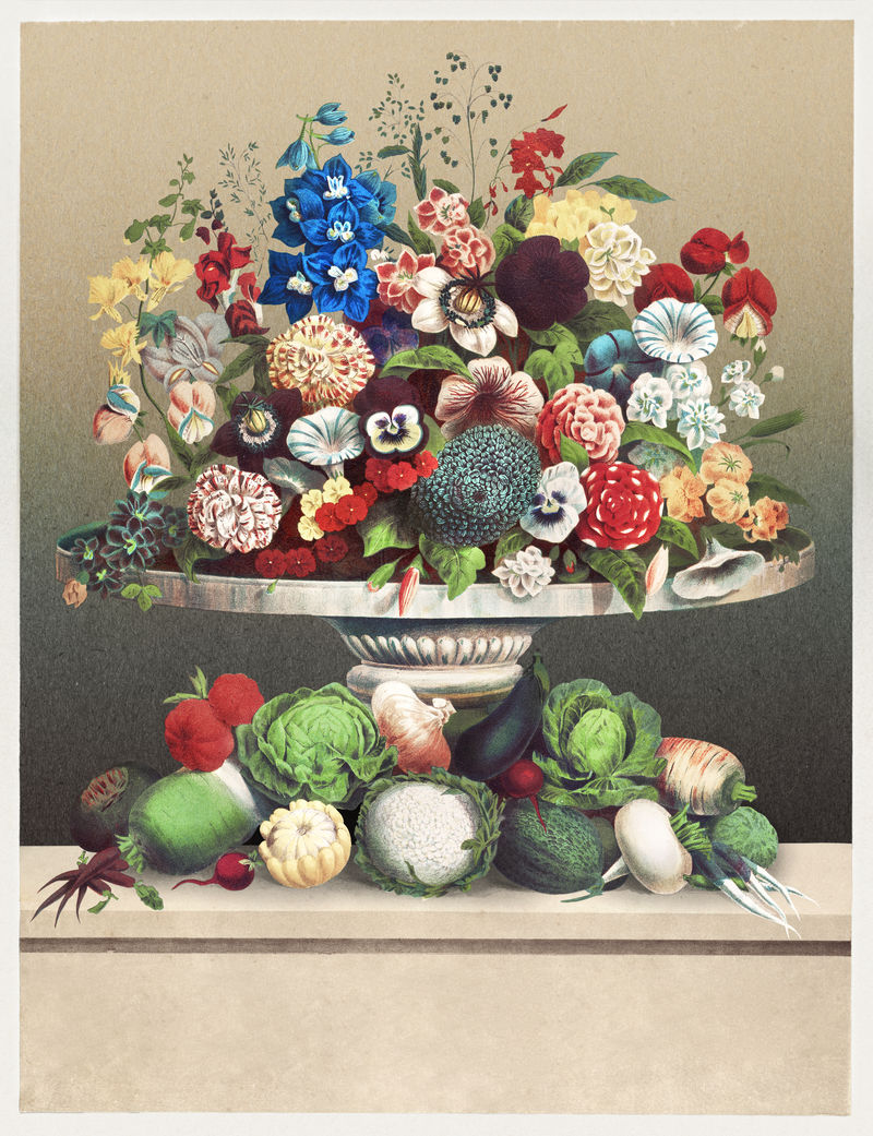 复古花卉和蔬菜插图植物壁画艺术