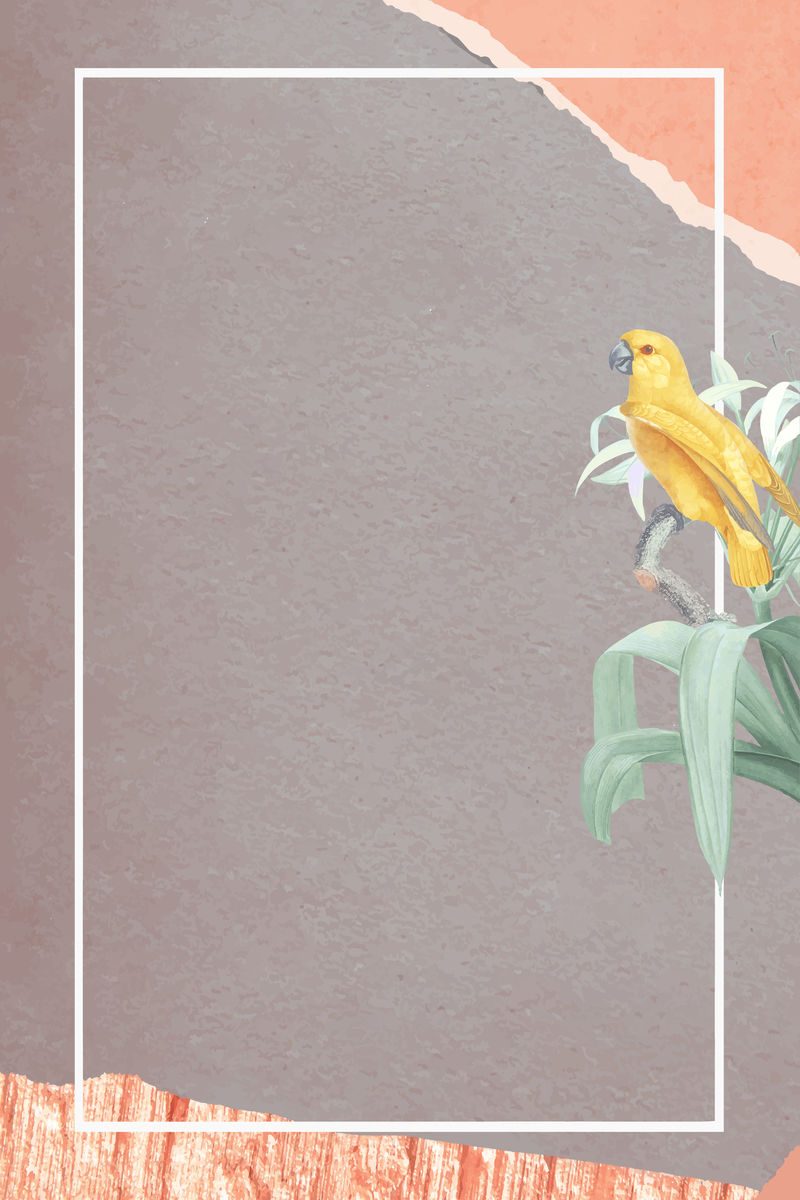 黄色塞内加尔鹦鹉和白色百合与框架向量