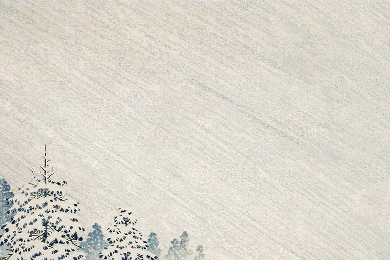 白雪覆盖的松林背景插图