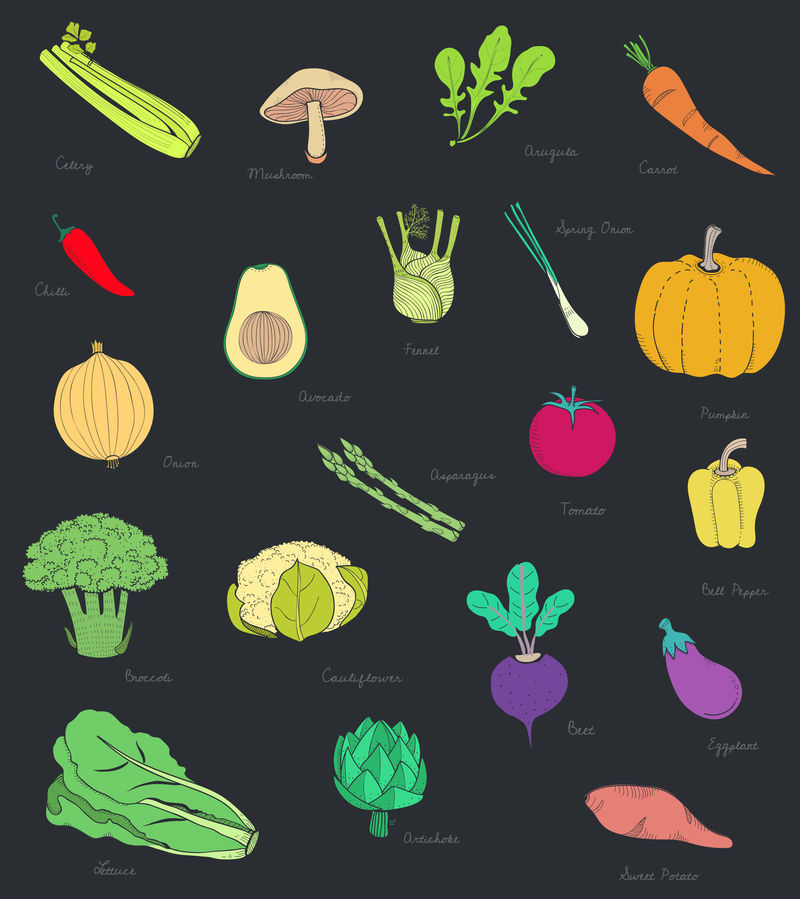 不同蔬菜的载体
