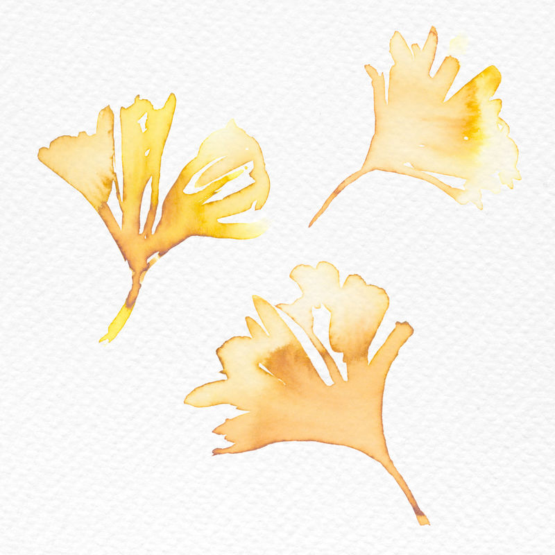 银杏叶秋季水彩画橙色季节图案psd