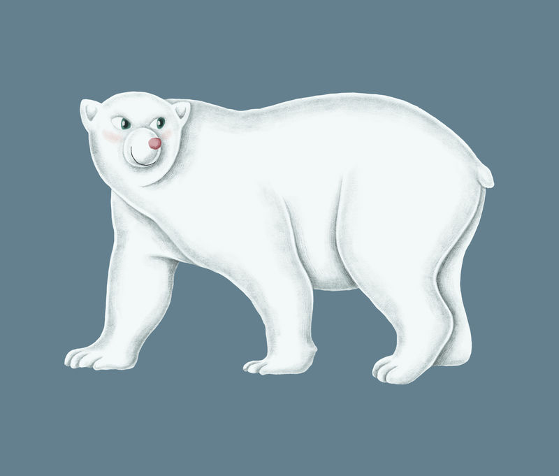 手绘行走白北极熊