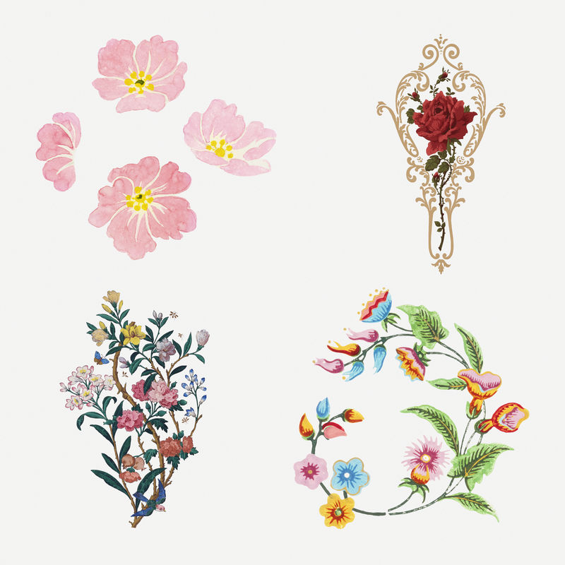 Psd彩色花卉复古插图系列