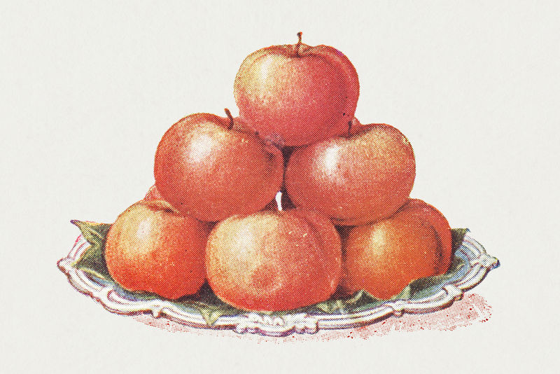 复古手绘苹果插图