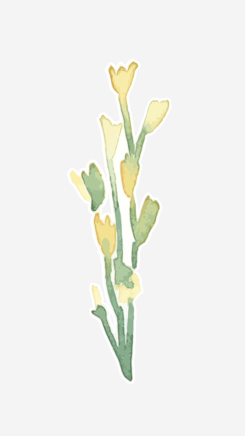 水彩花卉植物黄色psd手绘贴纸元素