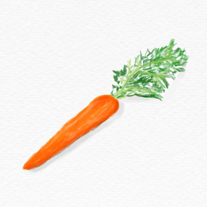 彩色胡萝卜蔬菜psd水彩插图