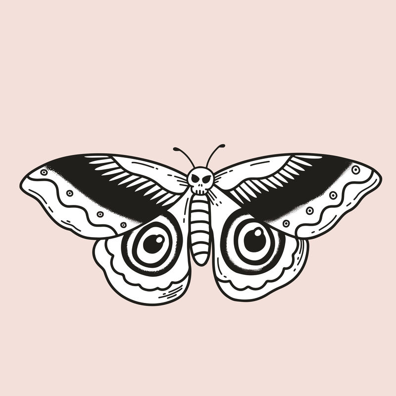 美丽的复古蛾子纹身插图