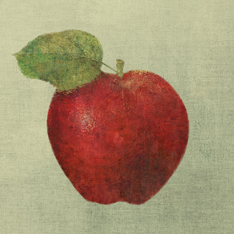 红苹果插画素描风格