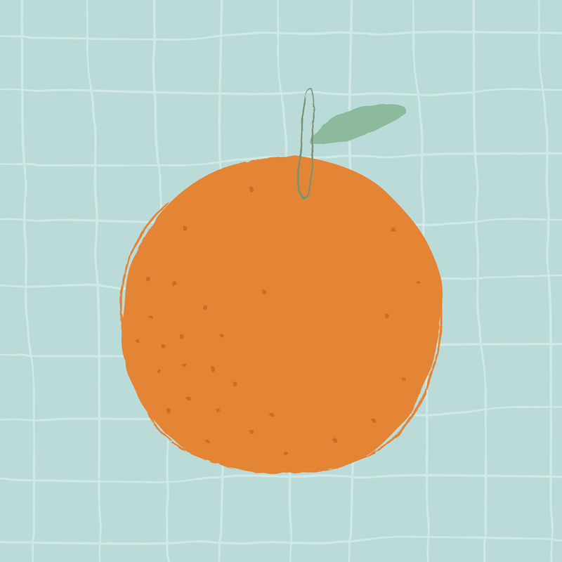 彩色手绘橙色水果剪贴画