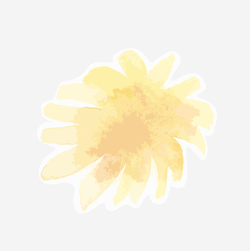 黄色花卉psd花卉绘图元素图形