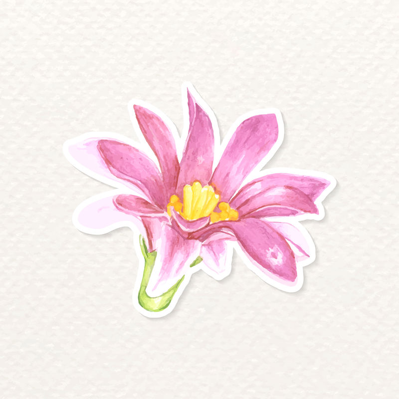 花卉水彩贴纸png