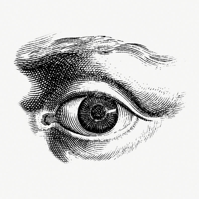 人眼单色复古插图