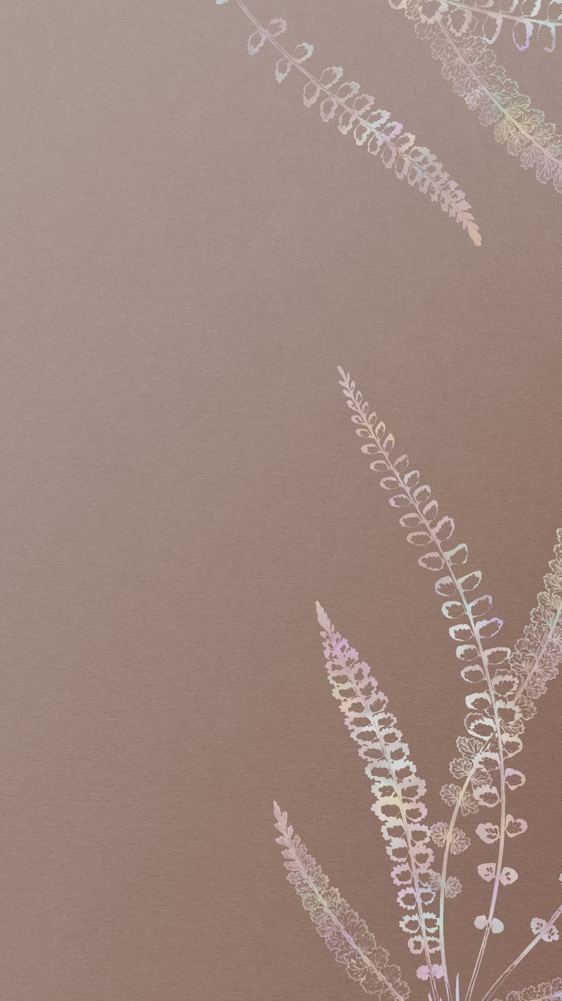 玫瑰金背景移动壁纸上的Spleenwort蕨类框架