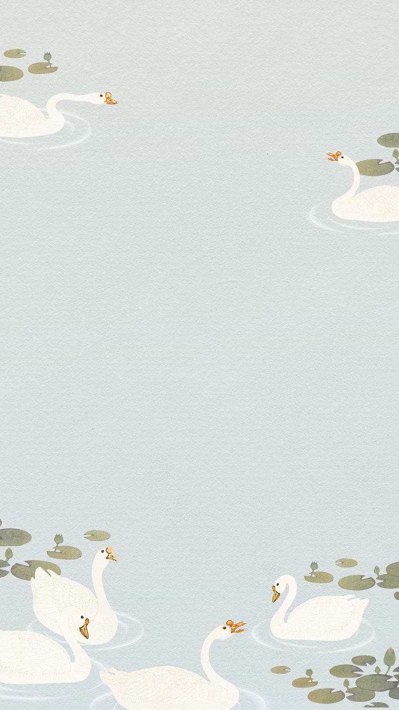 莲花池中游泳的白鹅手机壁纸插图