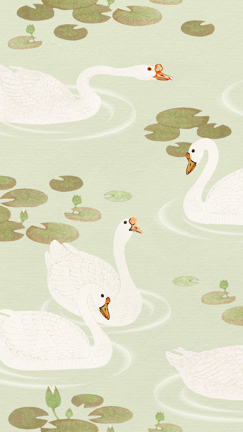 绿色手机墙纸插图上湖面图案中游泳的白鹅