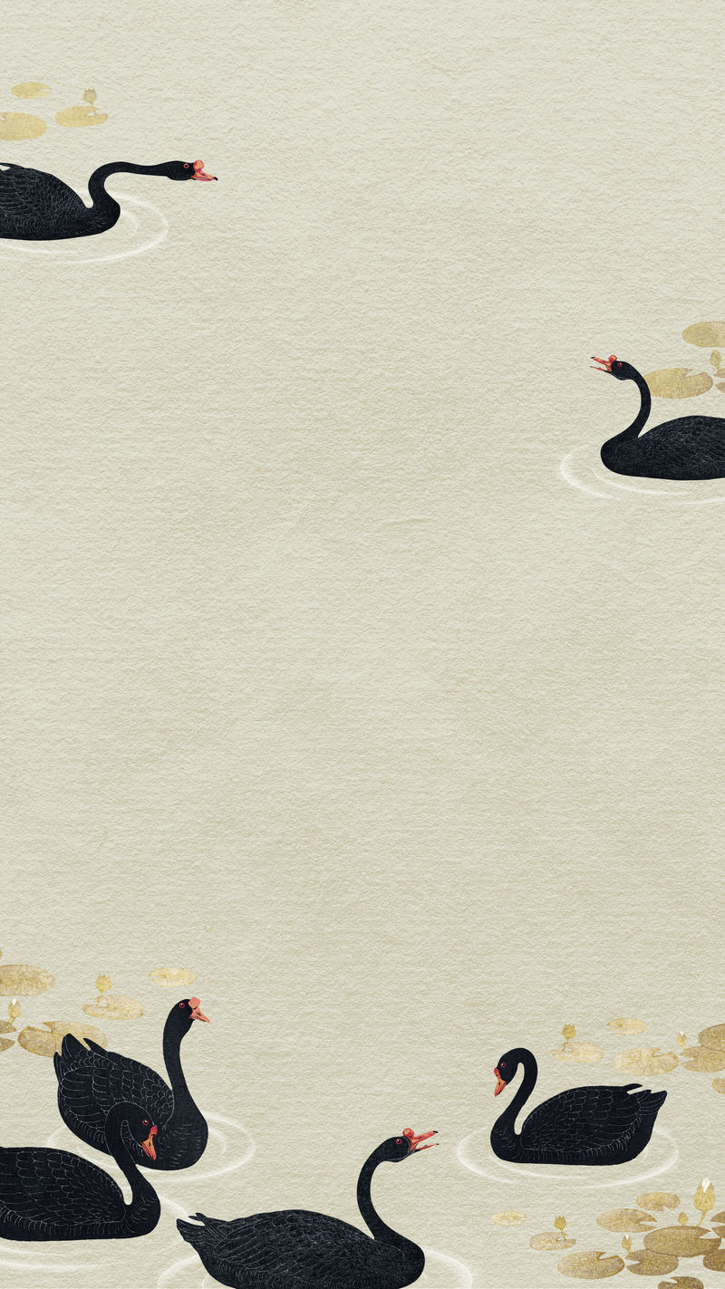 金色莲花池中游泳的黑雁手机壁纸插图