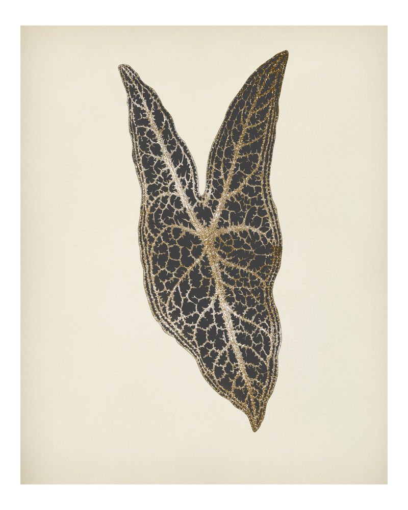 Caladium Belleymel雕刻耶稣之心叶复古插图墙壁艺术印刷品和海报设计混搭自本杰明·福塞特的原创艺术作品