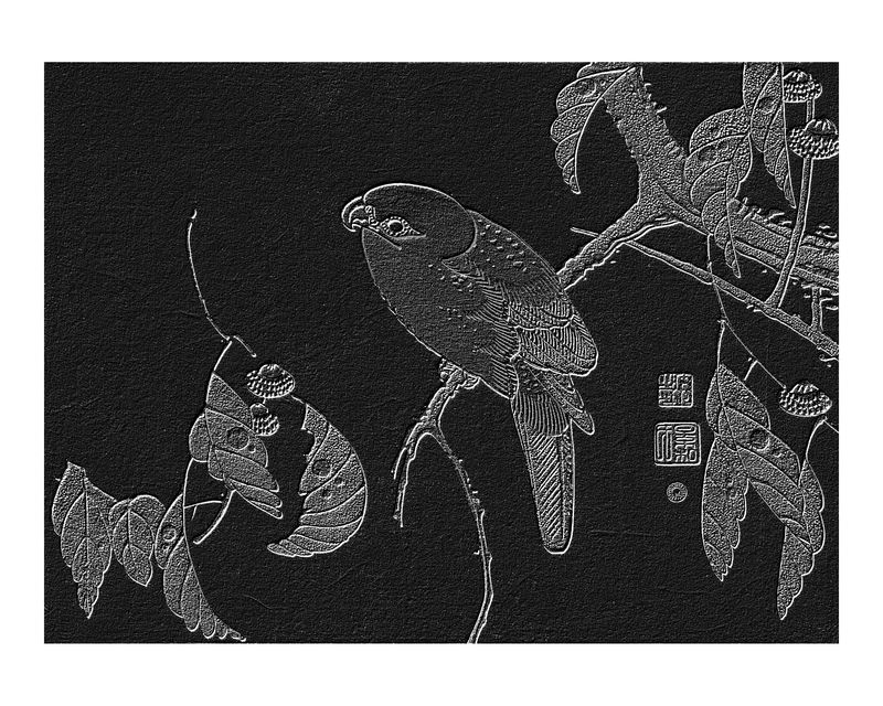 树杈上的鹦鹉单色复古壁画印刷海报设计伊藤·雅库丘原创作品的混音
