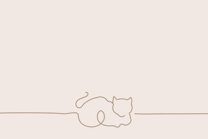 猫粉色背景线条艺术插图