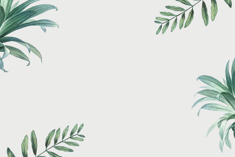 白色背景上手工绘制的热带树叶