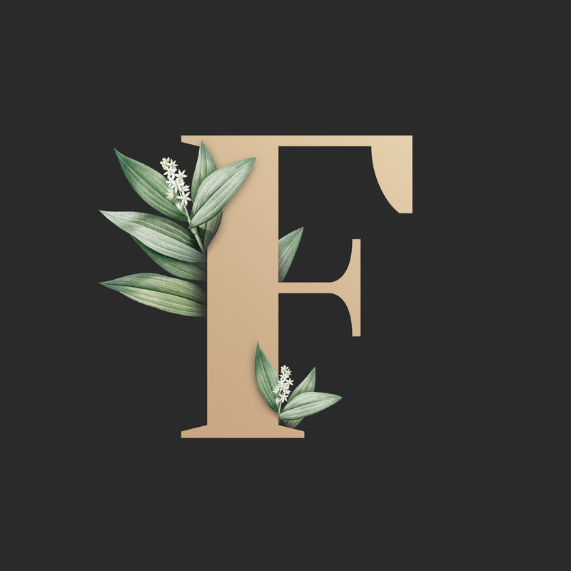 植物学大写字母F插图