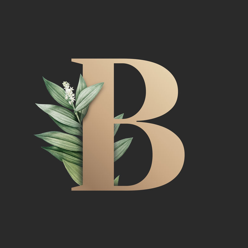 植物学大写字母B插图